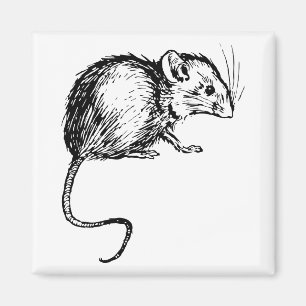 Retro Vintage schwarze u. weiße flaumige Maus Magnet