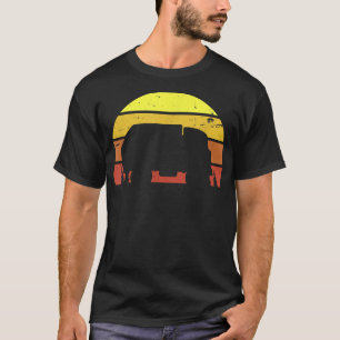 Retro Vintager Sonnenuntergang Recycelnd Mülltrans T-Shirt