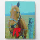 Retro Weihnachtspferd Fotoplatte (Vorderseite)