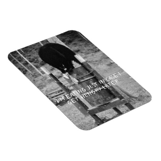 Retro Wild Black Bear Trash Scavenging Garbage Magnet (Rechte Seite)