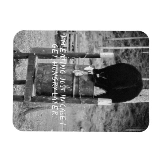 Retro Wild Black Bear Trash Scavenging Garbage Magnet (Horizontal)