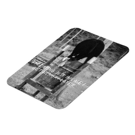 Retro Wild Black Bear Trash Scavenging Garbage Magnet (Linke Seite)