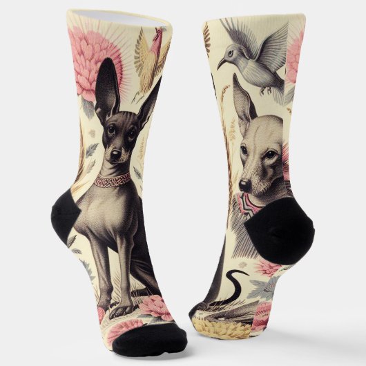 Retro Xoloitzcuintle Nahtlose Illustration Socken (Gewinkelt)