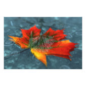 Retroreflektion Foto Print (Vorne)