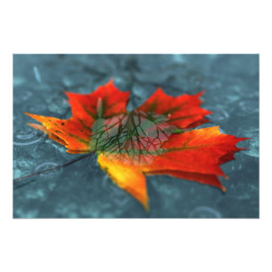 Retroreflektion Foto Print