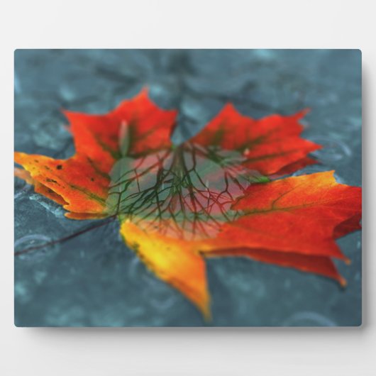 Retroreflektion Picture Plaque Fotoplatte (Vorderseite)