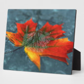 Retroreflektion Picture Plaque Fotoplatte (Seite)