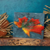 Retroreflektion Picture Plaque Fotoplatte (Seite)