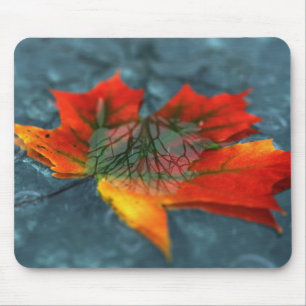 Retroreflexmousepad Mousepad