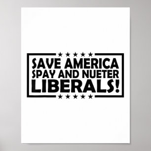 Rett Amerika spay und neoklassische Liberale Poster