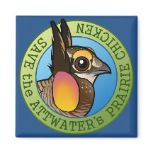 Rett das Präriehuhn von Attwater