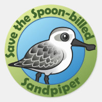 Rett den Löffelschnabel Sandpiper