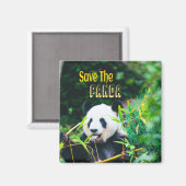 Rett den Panda Magnet (Vorderseite/Rückseite)