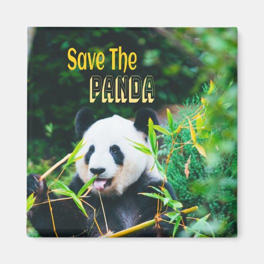 Rett den Panda Magnet (Vorne)