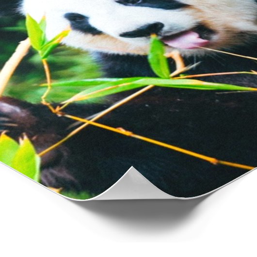 Rett den Panda Poster (Ecke)