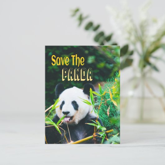 Rett den Panda Postkarte (Stehend Vorderseite)