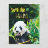Rett den Panda Postkarte (Vorderseite)