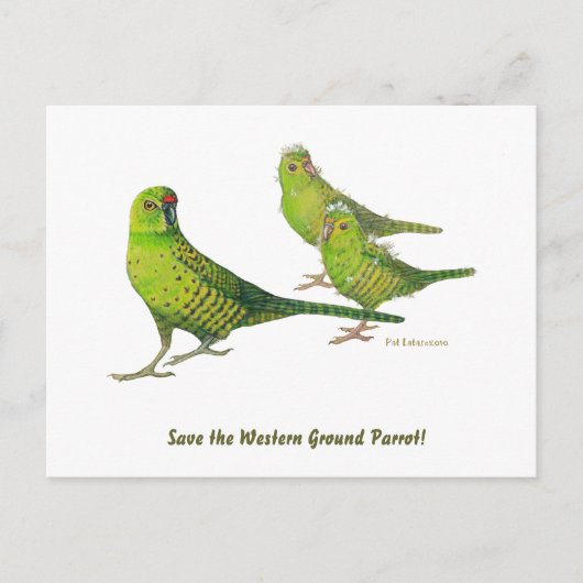 Rett den Western Ground Parrot! Postkarte (Vorderseite)
