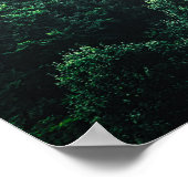 Rett der Bäume Sauerstoff mit nebeliger Walddarste Poster (Ecke)