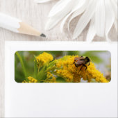 Rett der Bienen (Insitu)