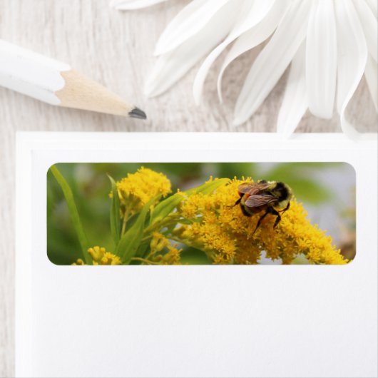 Rett der Bienen (Insitu)