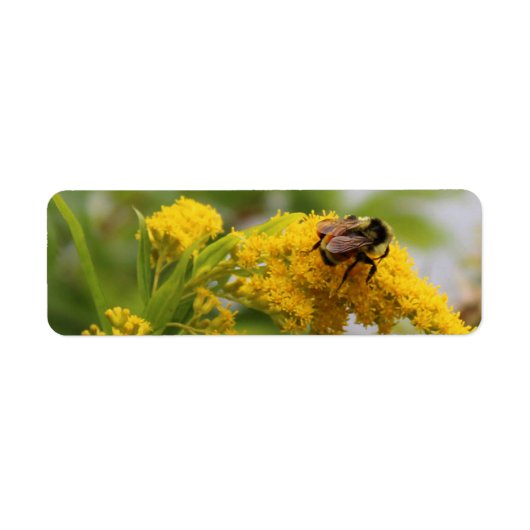 Rett der Bienen (Vorne)