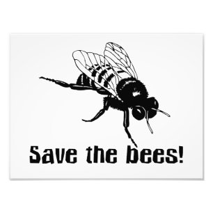 Rett der Bienen Fotodruck
