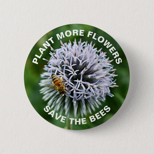 Rett der Bienen Globe Thistle Floral Button (Vorderseite)