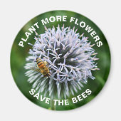 Rett der Bienen Globe Thistle Floral Magnet (Vorne)