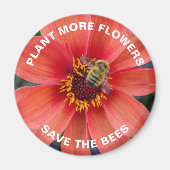 Rett der Bienen Orange Dahlia Blume Magnet (Vorne)
