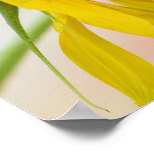 Rett der Bienen Poster (Ecke)