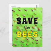 Rett der Bienen Postkarte (Vorne/Hinten)