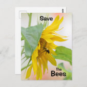 Rett der Bienen Postkarte (Vorne/Hinten)