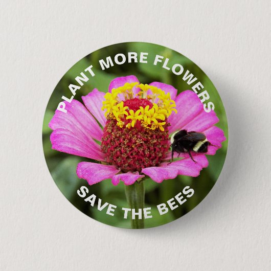 Rett der Bienen Rosa Zinnia-Blume Button (Vorderseite)