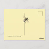 Rett der Bienen Vintage Bienenbilder Postkarte (Rückseite)