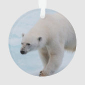 Rett der Eisbären Ornament (Rückseite)