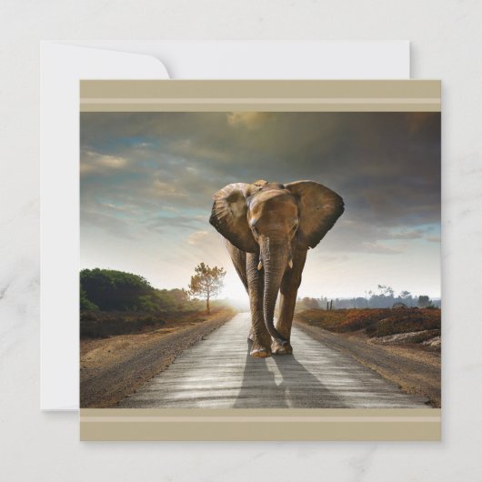 Rett der gefährdeten Elefanten-Hi-Def-Druckkarte (Vorderseite)