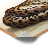 Rett der Geparden Poster (Ecke)