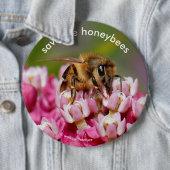 Rett der Honigbienen, die den Narrowleaf-Milkweed  Button (Beispiel)