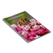 Rett der Honigbienen, die den Narrowleaf-Milkweed Notizblock (Rechte Seite)