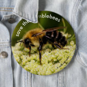 Rett der Hummeln, die die blühende Karotte pollini Button (Beispiel)