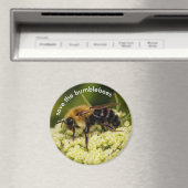 Rett der Hummeln, die die blühende Karotte pollini Magnet (In Situ (Geschirrspüler))