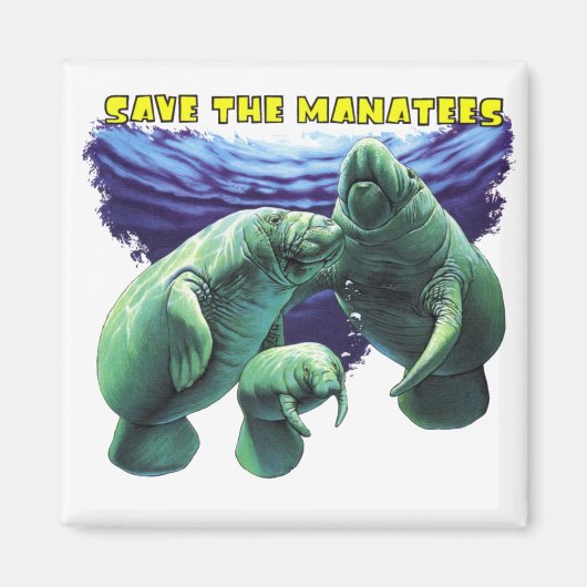 Rett der Manatees Magnet (Vorne)