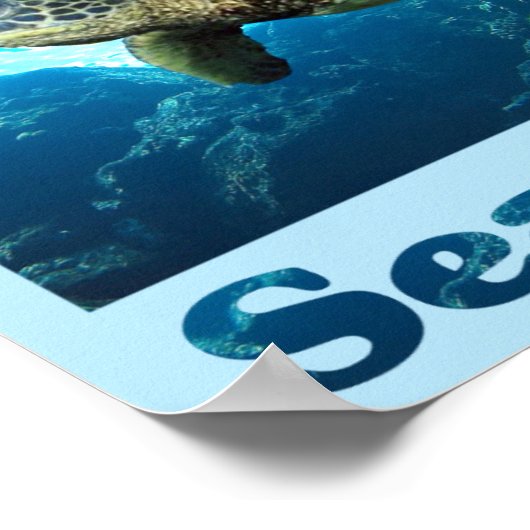 Rett der Meeresschildkröten Poster (Ecke)