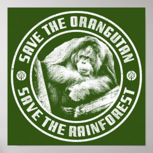 RETT DER ORANGUTAN RETTETE DEN RAINFORSTEN. POSTER
