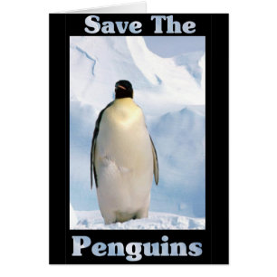 Rett der Pinguine