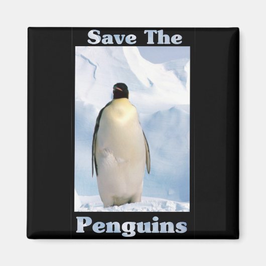 Rett der Pinguine Magnet (Vorne)