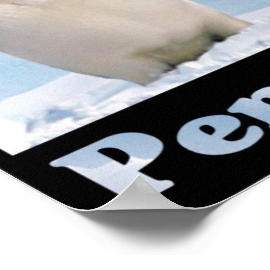 Rett der Pinguine Poster (Ecke)