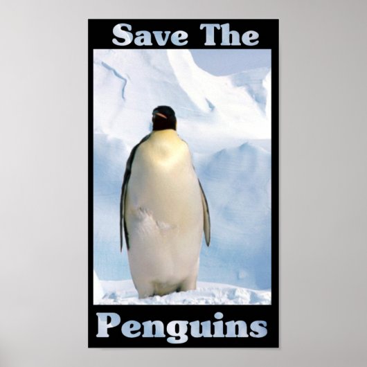 Rett der Pinguine Poster (Vorne)