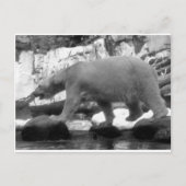 RETT DER POLAR-BÄREN POSTKARTE (Vorderseite)